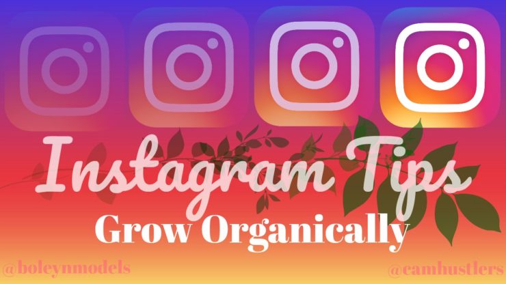 Instagram Organic Growth